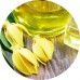 Ylang Ylang E/O: Vital Herb